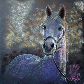 Equine and animal portrait commission